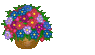 ) - (95x55, 30Kb)