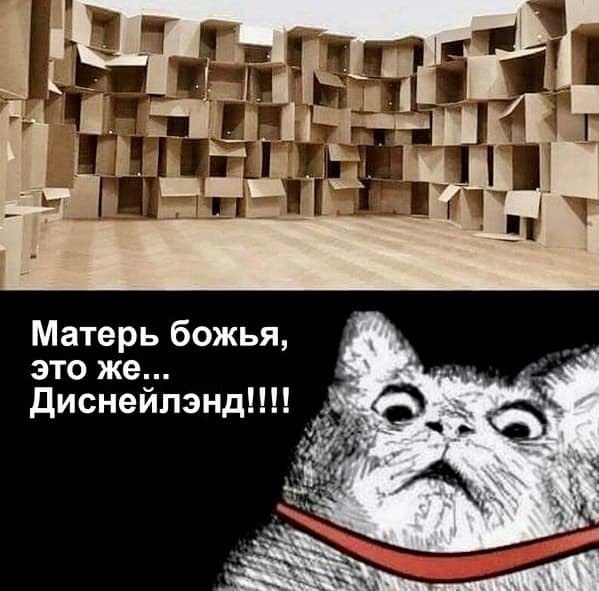8F47C0D6-9FC6-4CAF-A45E-D1381F71321C (599x591, 218Kb)
