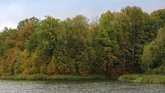 IMG_7314 (700x393, 408Kb)
