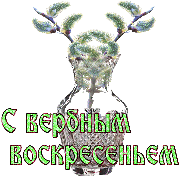 е6 (600x600, 230Kb)