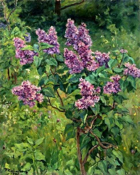 278473002_5164235620303023_1612387309496357302_n (486x604, 337Kb)