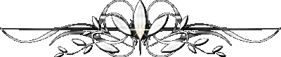 6969960_93883583_4059800_8f4d6e90d984 (400x81, 8Kb)