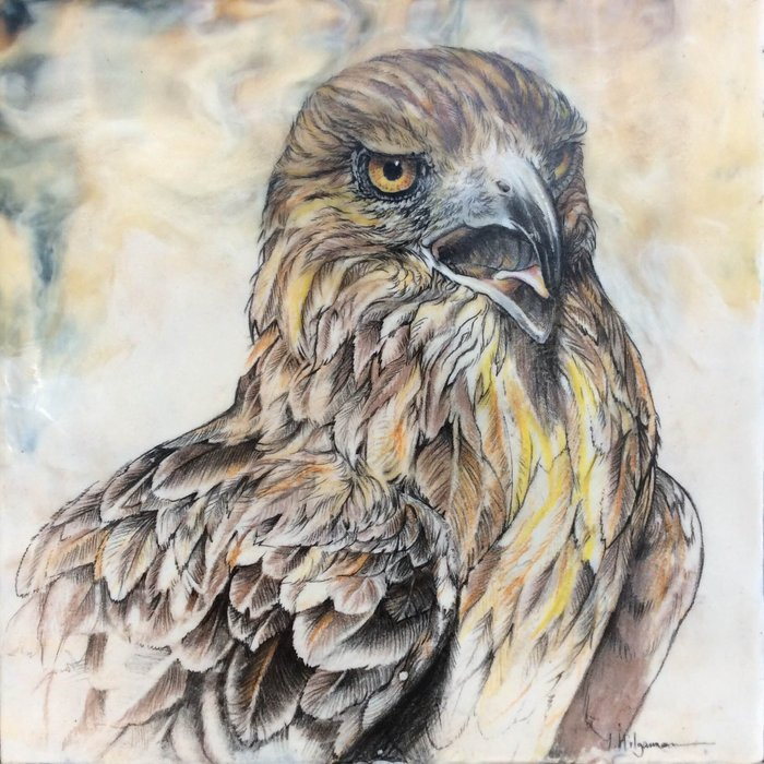 Red-Tailed-Hawk-Encaustic-on-Panel-10x10-450 (700x700, 352Kb)