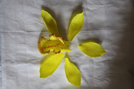 Мастер-класс Орхидеи из гофрированной бумаги (2) (450x300, 164Kb)