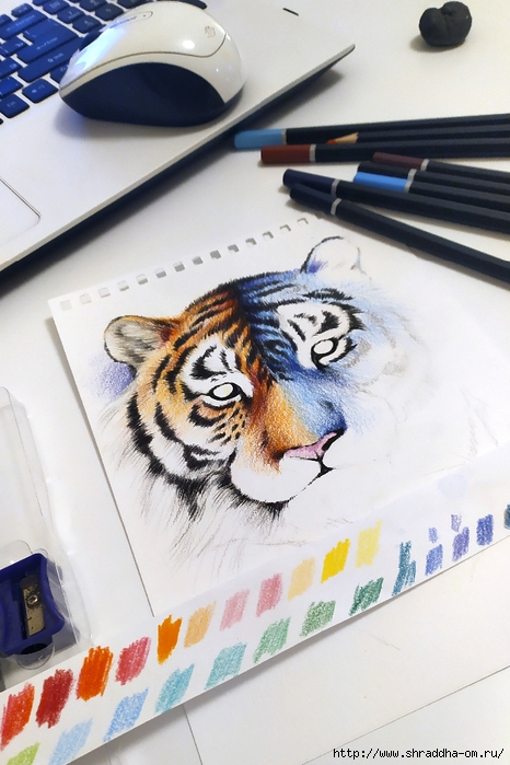 символ 2022, тигр, художник Ольга Лялина, ShraddhaArt 2021(4) (466x700, 257Kb)