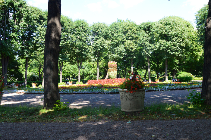 DSC_6511 (700x465, 571Kb)