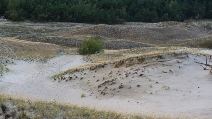 IMG_7522 (700x393, 324Kb)