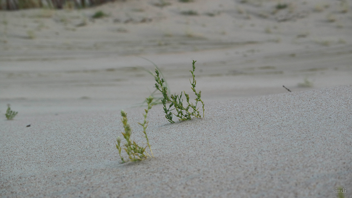 IMG_7527 (700x393, 251Kb)