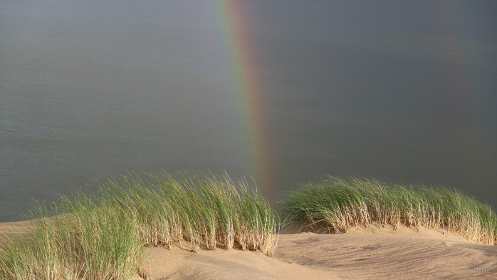IMG_7538 (700x393, 268Kb)