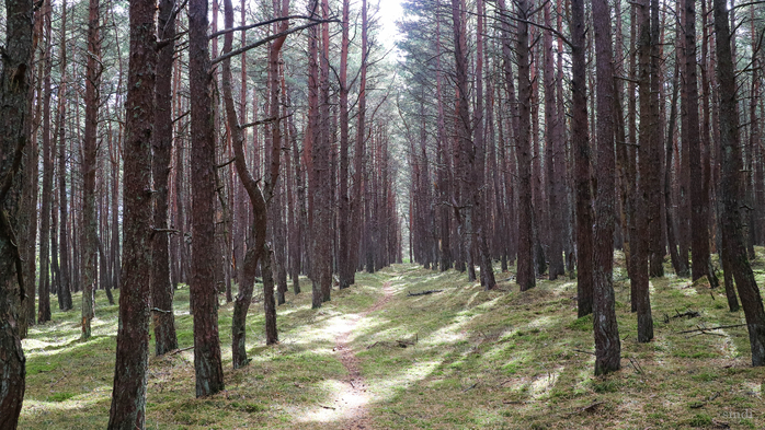 IMG_7470 (700x393, 434Kb)