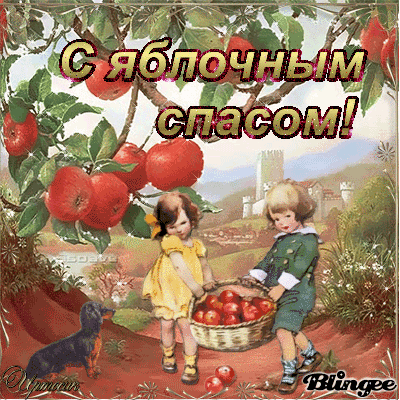 жа8 (400x400, 1158Kb)