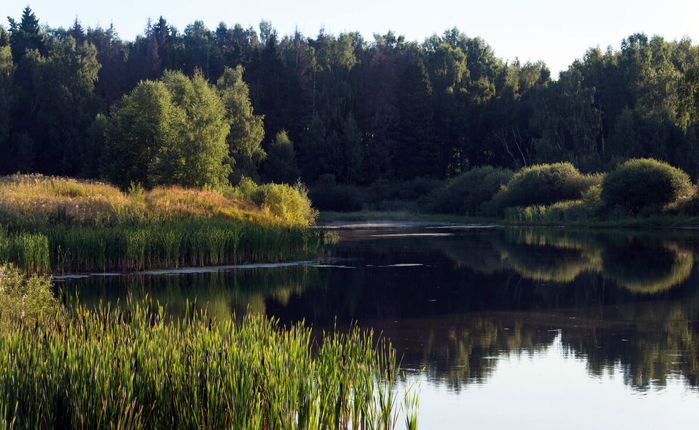 Владимир Безбородов  . (700x430, 375Kb)