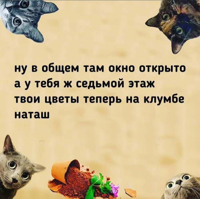 F303A519-5321-406B-A272-81236B907D99 (700x698, 371Kb)