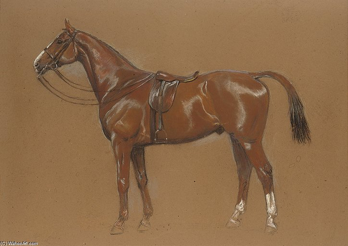 Beatrice+E+Parsons-Liffey+Bank+-+A+Chestnut+Hunter (700x495, 247Kb)