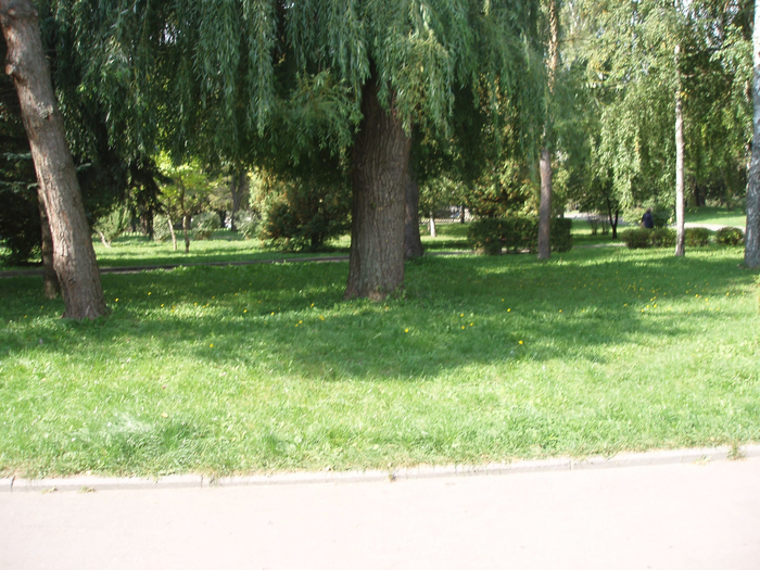 242121543_857095698285950_4436429992688047650_n (700x525, 486Kb)