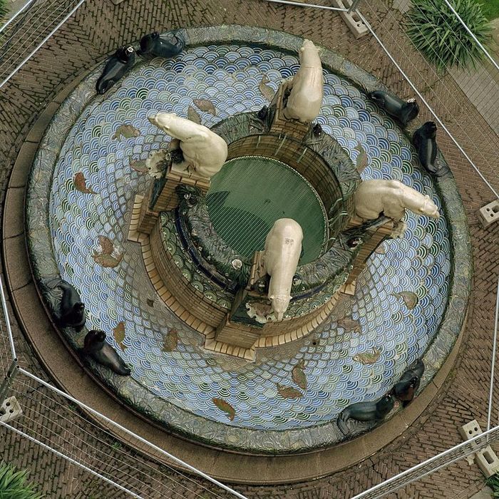 Exterieur_bewerkte_fontein_met_dierfiguren,_vanaf_hoog_standpunt_genomen_-_'s-Gravenhage_-_20327010_-_RCE (1000x1000, 179Kb)