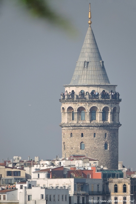 Стамбул, Турция, Istanbul, Shraddhatravel 2021 (89) (466x700, 226Kb)