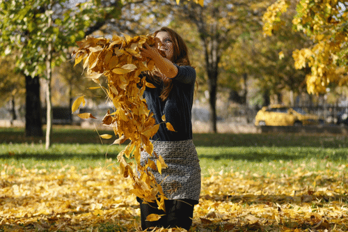 5840010_i11258 (500x333, 3621Kb)