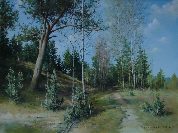 xudozhnik_Vladimir_Kraevskij_04 (700x522, 380Kb)