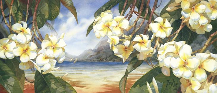fullsize (3) (700x301, 258Kb)