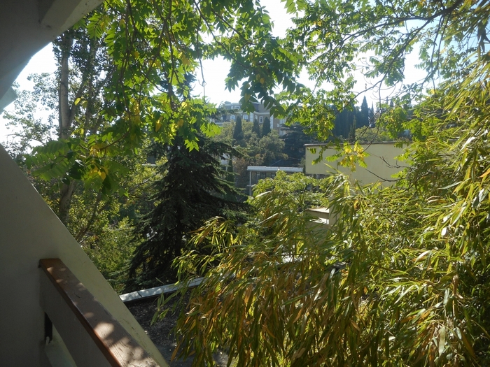 4878453_DSCN1263 (700x525, 383Kb)