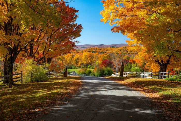 3085196_USA_Autumn_Roads_Woodstock_Vermont_Trees_Fence_599124_2048x1367 (700x467, 351Kb)