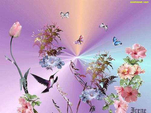 25352321_11c867fab4e1 (500x375, 478Kb)