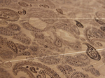  artistic-wood-flooring-mafi-carving-5 (500x370, 156Kb)