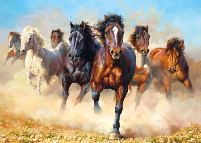 27 интересных фактов о лошадях