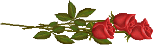 ct (300x88, 11Kb)
