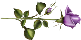 cer (270x133, 40Kb)