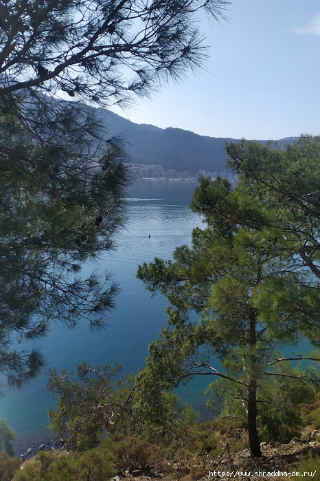 , , Fethiye, Turkey, Shraddhatravel 2022 (767) (466x700, 347Kb)