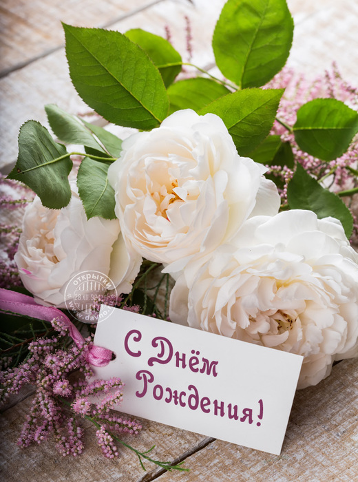 image008-60 (520x700, 170Kb)