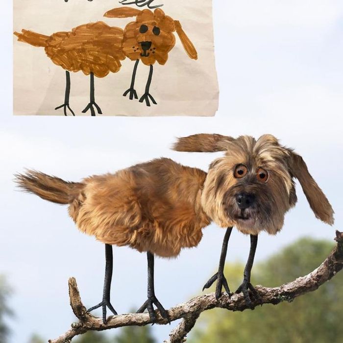 funny4-750x750 (700x700, 336Kb)