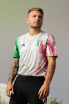  italy-adidas-football-home-away-keeper-pre-game-jersey-6 (466x700, 306Kb)