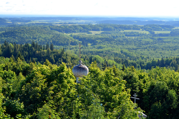 DSC_2649 (700x463, 541Kb)