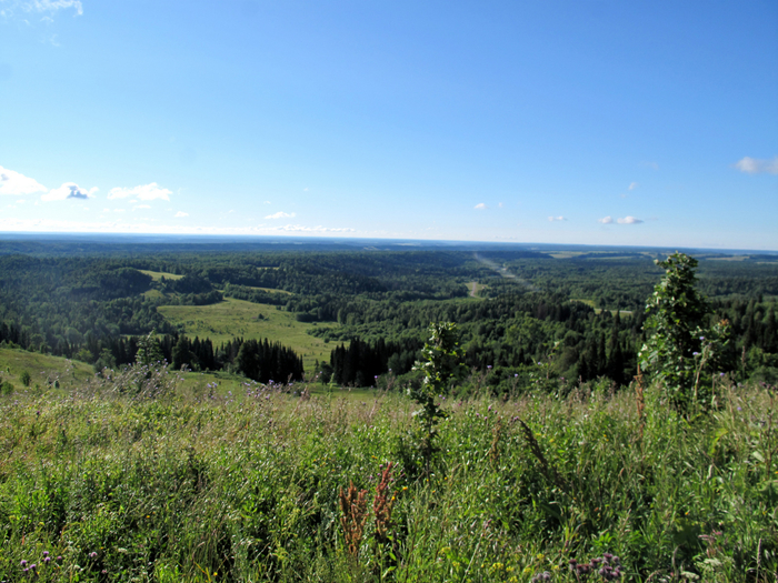 IMG_9221 (700x525, 504Kb)