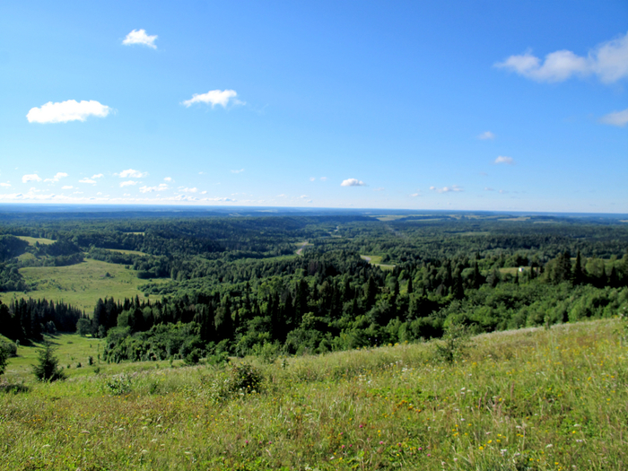 IMG_9233 (700x525, 481Kb)