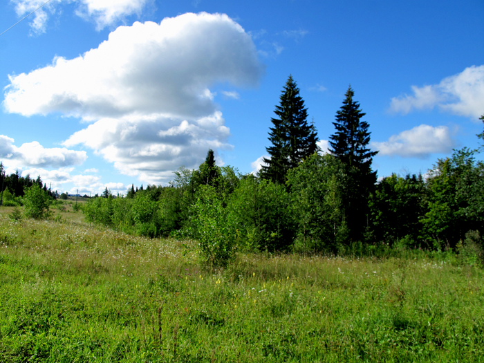IMG_9259 (700x525, 554Kb)