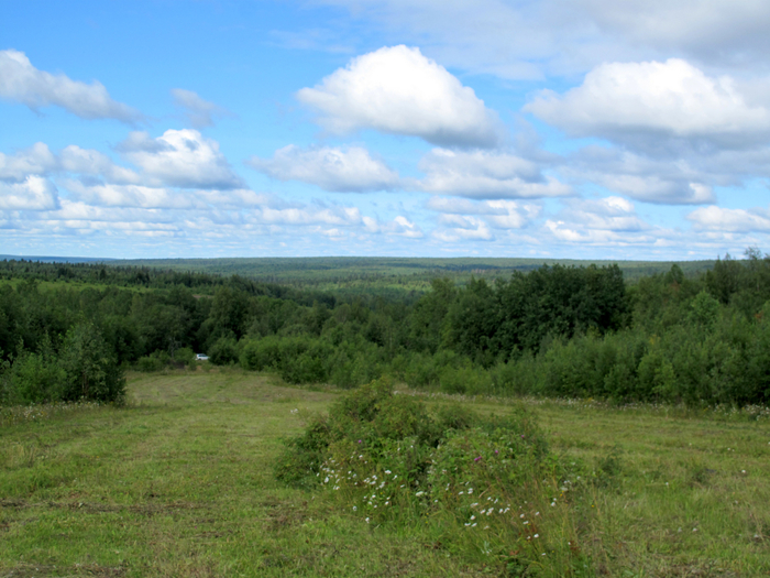IMG_9320 (700x525, 441Kb)