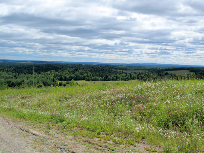 IMG_9416 (700x525, 560Kb)