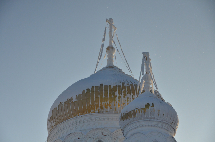 DSC_2386 (700x463, 282Kb)