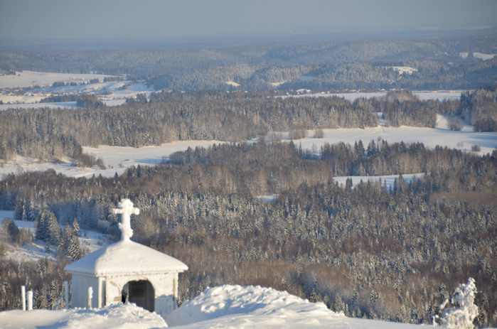 DSC_2454 (700x463, 437Kb)