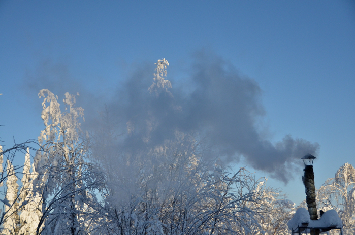 DSC_2477 (700x463, 375Kb)