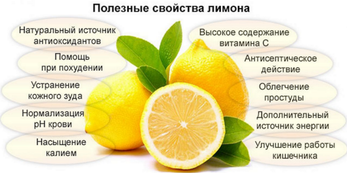 2835299_limon (700x350, 351Kb)