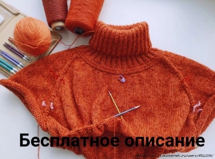 Screenshot_2023-01-01-16-24-16-814_com.vkontakte.android (700x518, 278Kb)