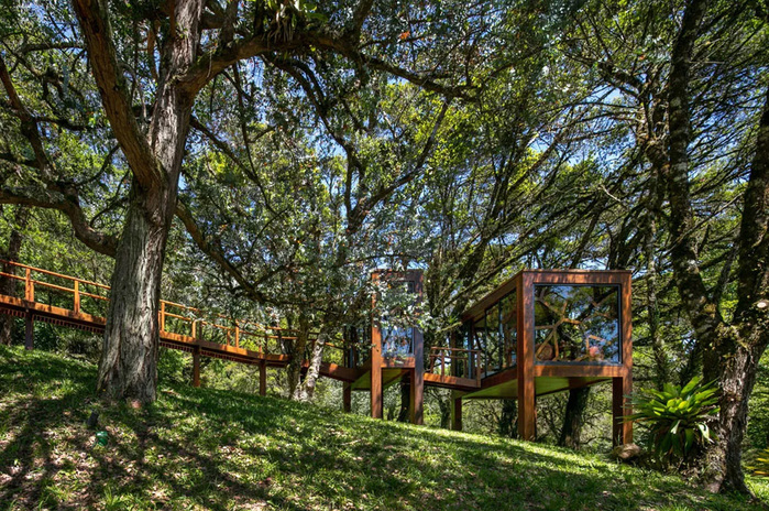 4016863_brazilian_treehouse_retreat_yanko_design_01 (700x464, 277Kb)