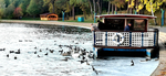  IMG_20221006_181535_edit_39825281763193 (700x322, 326Kb)