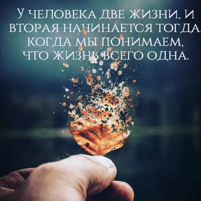 6 (700x700, 81Kb)