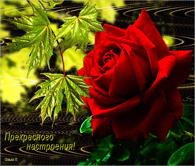20 (660x562, 1582Kb)
